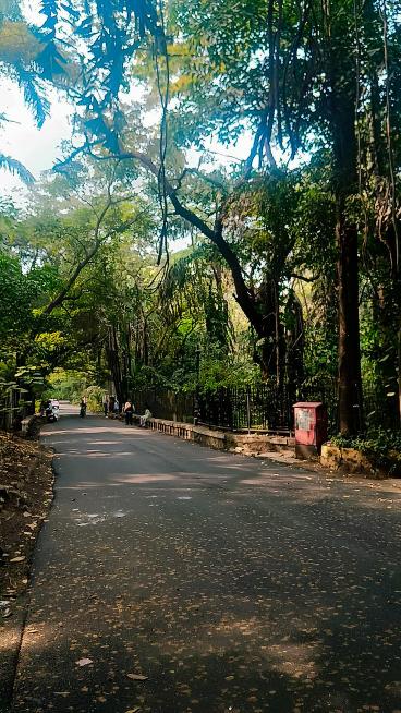 Osho Garden Pune